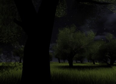 The Forest