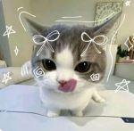 ~Any3~