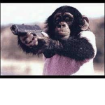 monkey armed to the teeth