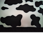 COW CLUDB
