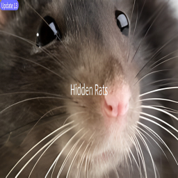 Hidden Rats (update 12) 🐀