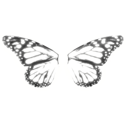 [Glowing] Butterfly Wings