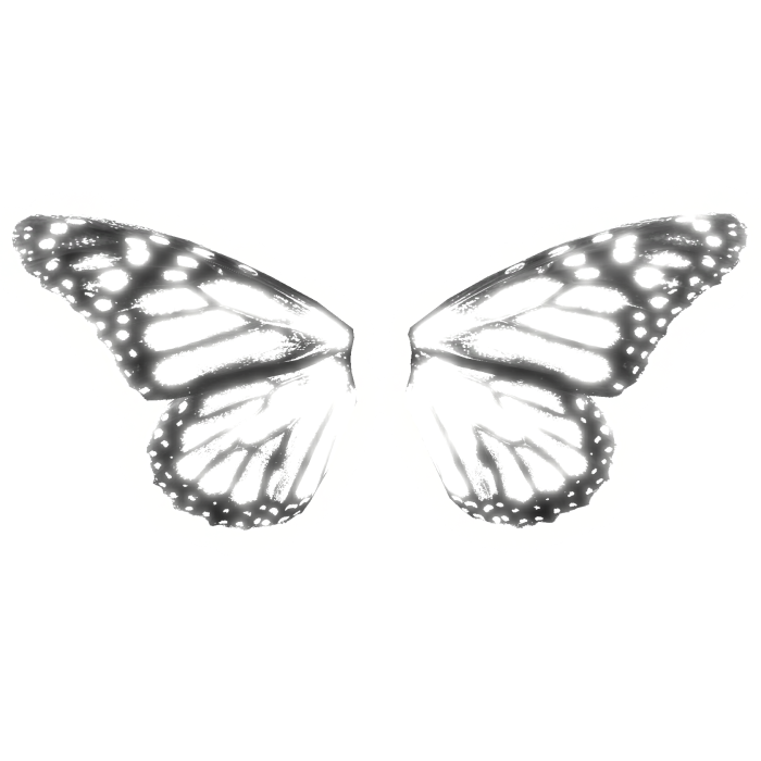 [Glowing] Butterfly Wings