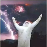 Tío lolo