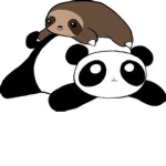 Panda Vs Sloth