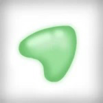 Nourity • Client Acquisition Program
