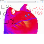 The MLG frog group!