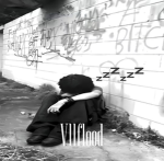 Vllflood Group