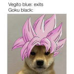 Doge pals 2