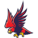 FalconProductions