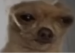 El Chihua triste