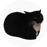 Found Maxwell Roblox badge thumbnail