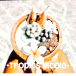 TropicsNicole