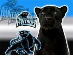 The Carolina Panthers!