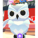 Legendary pet adopt me giveaways