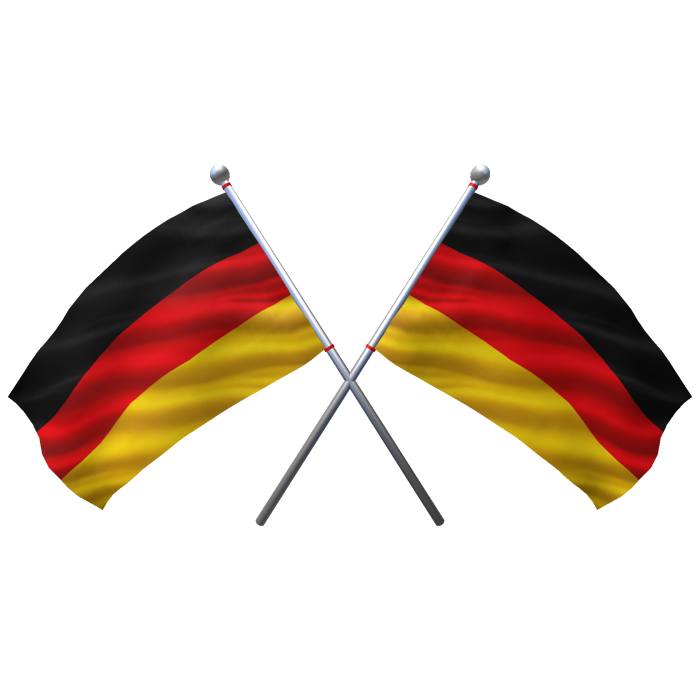 🇩🇪 Germany Shoulder Double Flag 