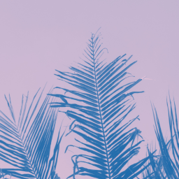 Aesthetic Army Hangout [UPDATE!]