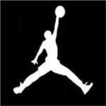 Air Jordan TM