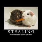 WE STEAL GAMES