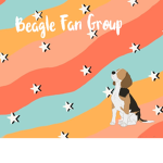 Beagle Fan Group