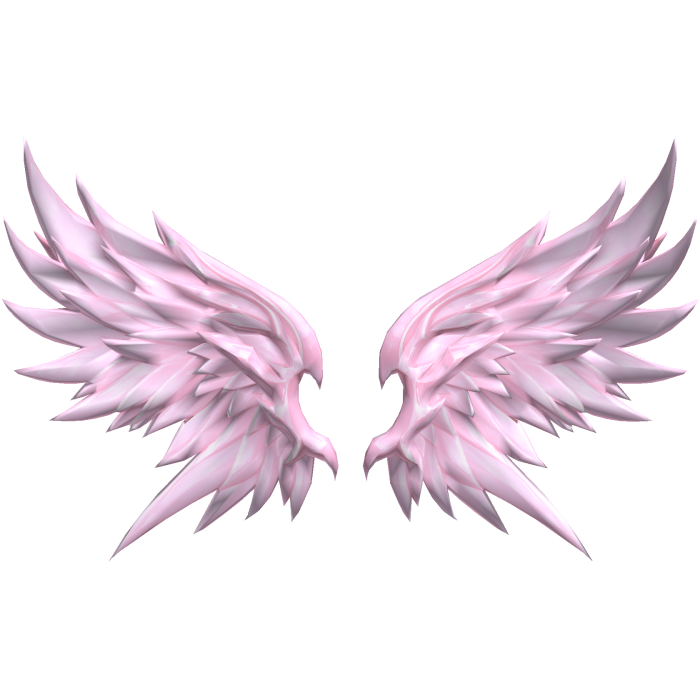 Big Pink Transpire Angel Wings