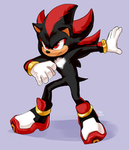 Sonic the Hedgehog kunckles the Hedgehog team