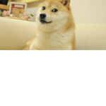 : Doge army :