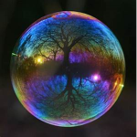 -The Angler and Bubble Wings-