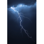 lightningcat