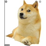 D0GE!!