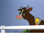 Looney Cows
