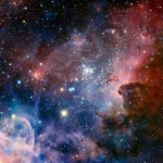 Black wolf star
