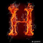 The House Of Fun!