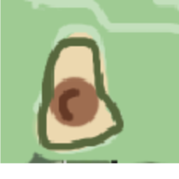 Avocado