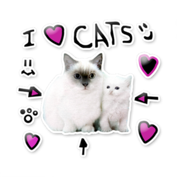 Wonderful World Of Cats