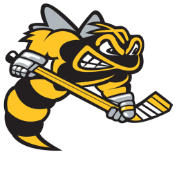 Sting Arena