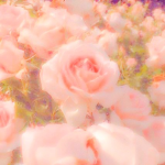 $PRING