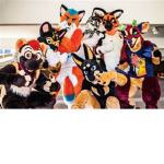 The Furry Flock!!
