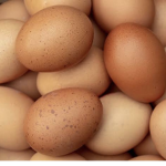 Egg Men!