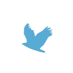 GA || Goose AIR