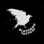 Blackbird Studio's Group Thumbnail