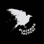 Blackbird Studio's Group Thumbnail