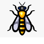 THE HORNET ARMY | OFFICER PROGRAM