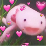 Hayyyyyy it’s UwU heerrreee