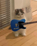 Good Kid Band