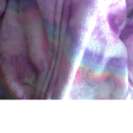 Madison’s unicorn