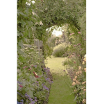 Tree garden
