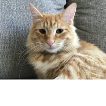 good game chilllllll