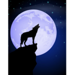 ~Wolf Gaming Studios~