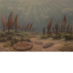precambrian